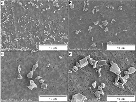 Sammenligning af SEM-billeder af de fire størrelser af krystallinske silicapartikler anvendt til denne undersøgelse, (a) Ultrafin (UF), (b) Submicron (S), (c) Respirabel (R) og (d) Grov (C). Billeder har alle samme forstørrelse (5.000x) 
